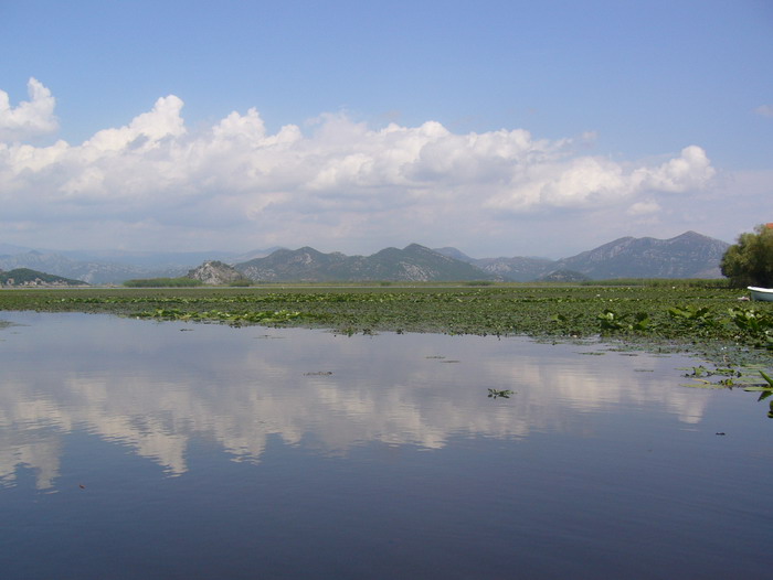Skodra tó (Skadarsko)